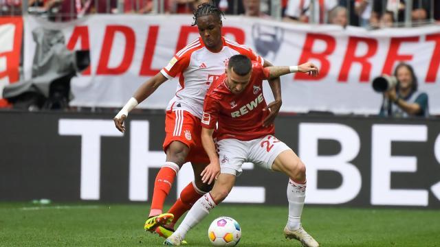 1713082929809053342.jpeg 1713082929809053342.jpeg